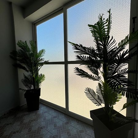 הימארה Hotel Frida מראה חיצוני תמונה